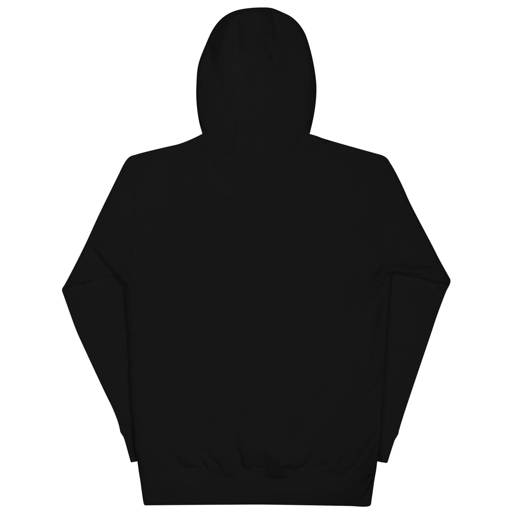 Premium cotton Black hoodie on a white background (back).
