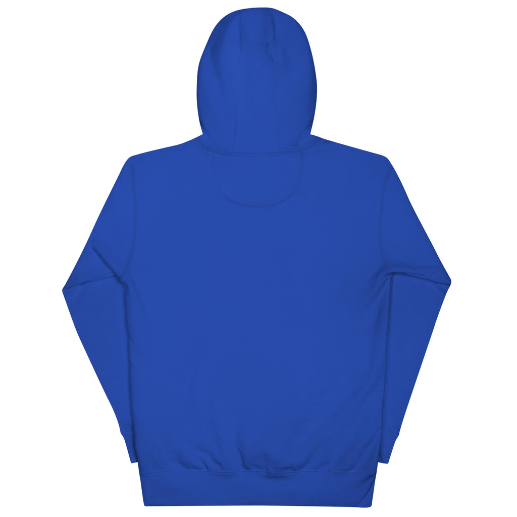 Premium cotton Blue hoodie on a white background (back).