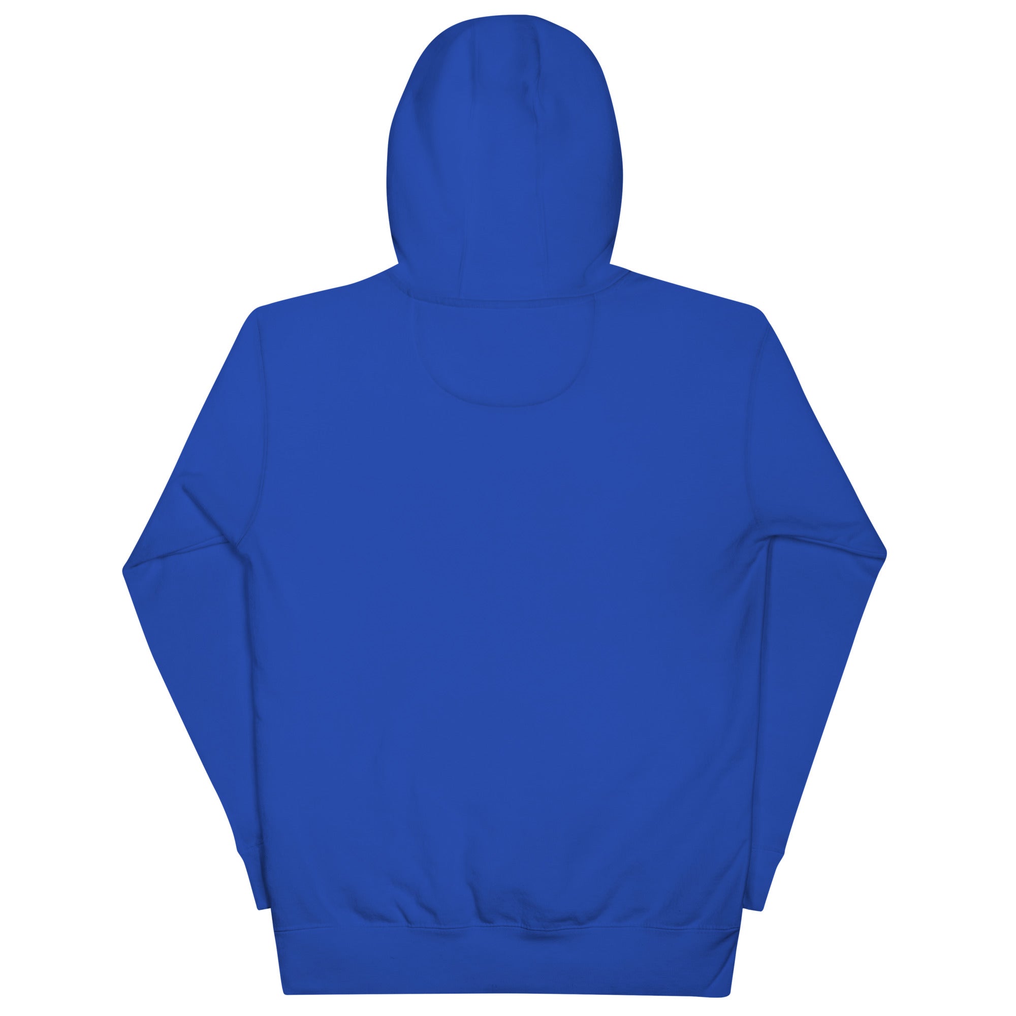 Premium cotton Blue hoodie on a white background (back).