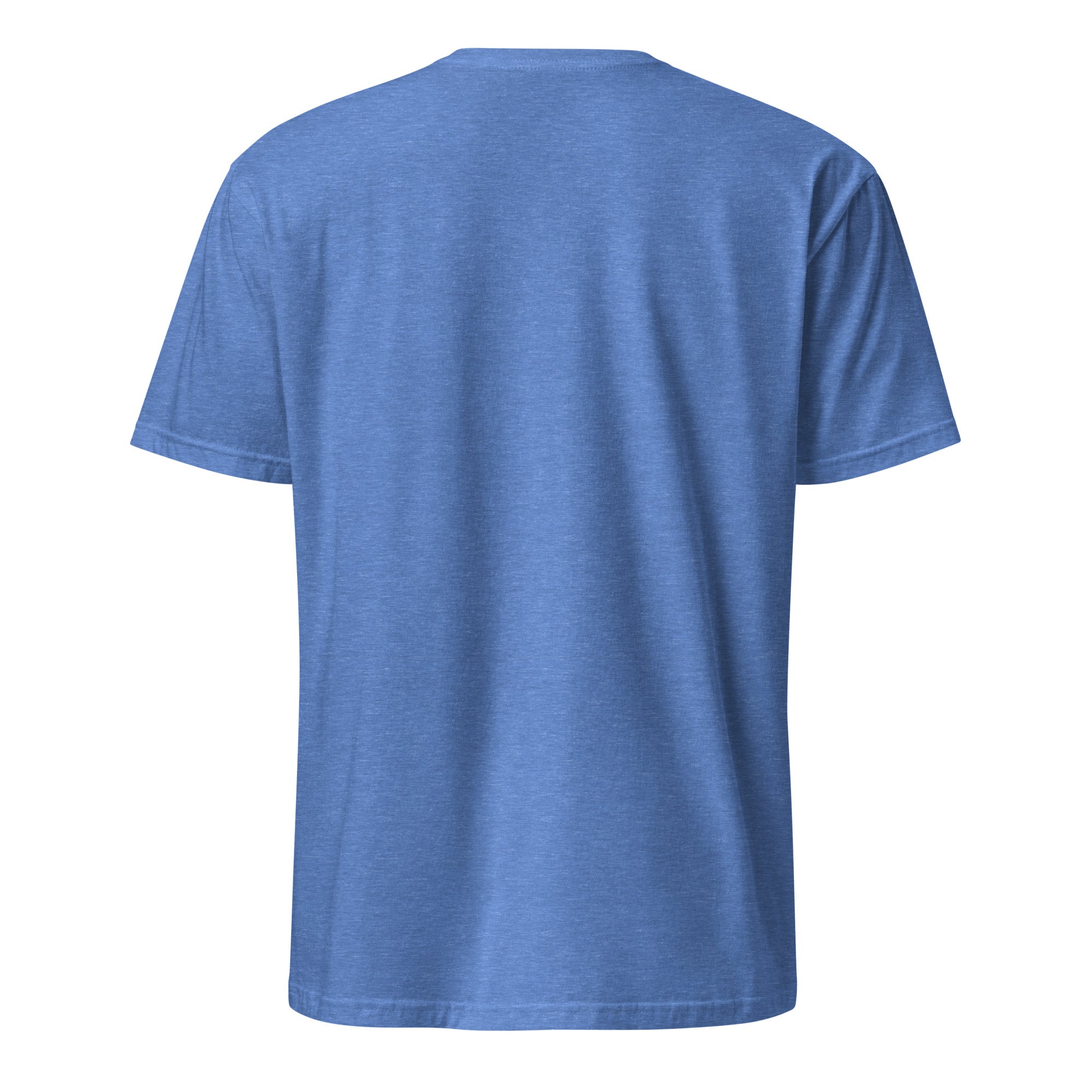 Royal Blue t-shirt on a white background (back).