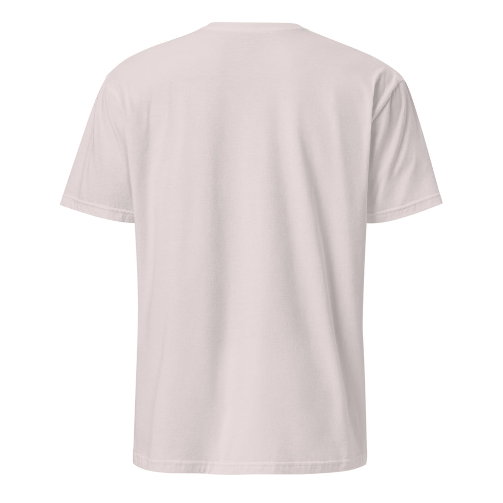 Ice grey t-shirt on a white background (back).