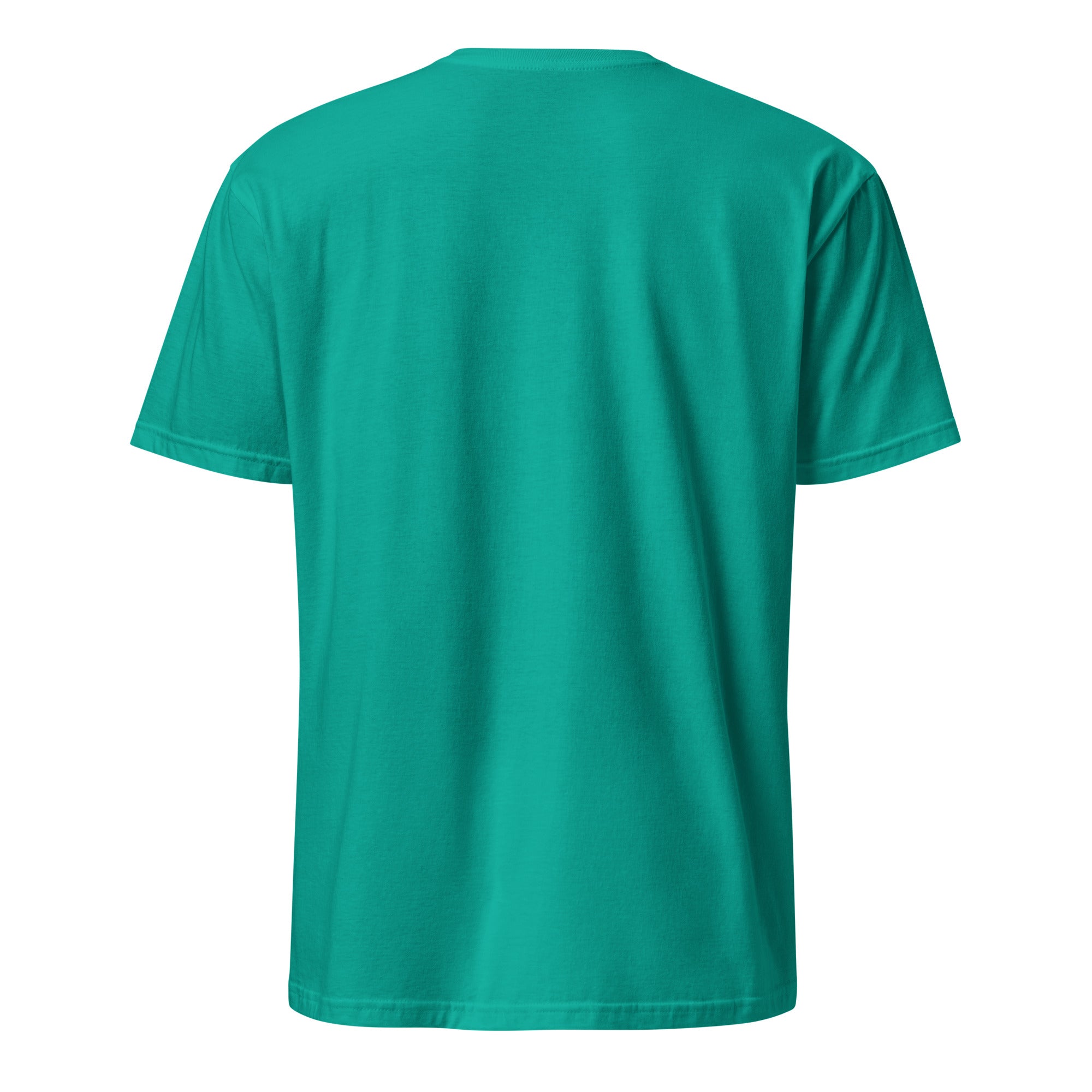 Jade Green t-shirt on a white background (back).