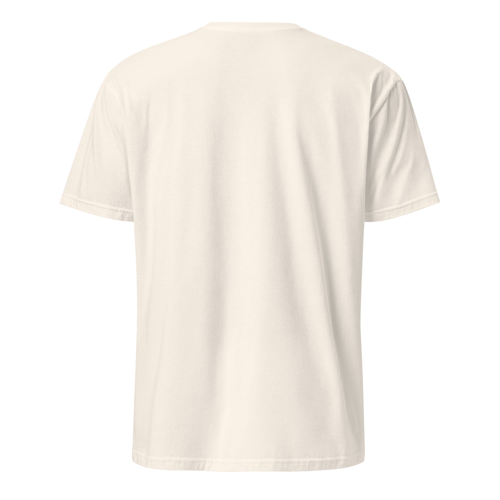 Off-white t-shirt on a white background (back).